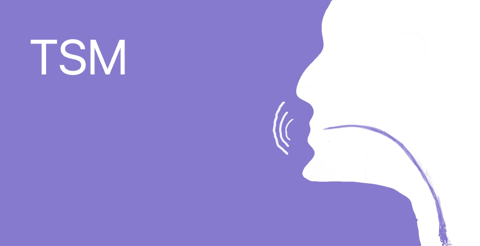 Taylor Speech & More Logo with horizontal text